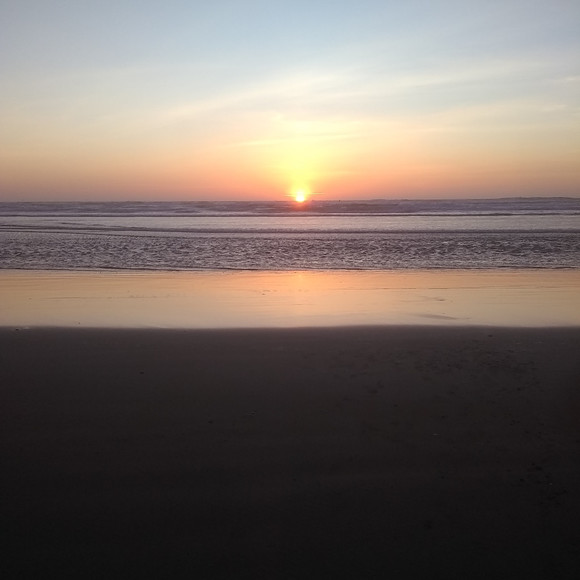 Meet your Posher, Elissya - Picture 1 of 1